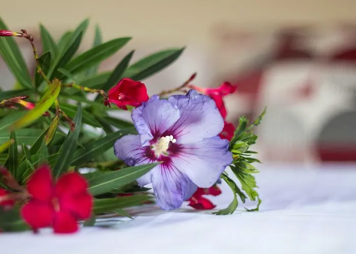 Auszeit-wohnungen Lägenhet *