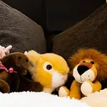 شقة Auszeit-wohnungen