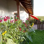 Auszeit-wohnungen شقة Aidenbach