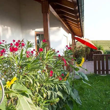 Auszeit-wohnungen شقة Aidenbach